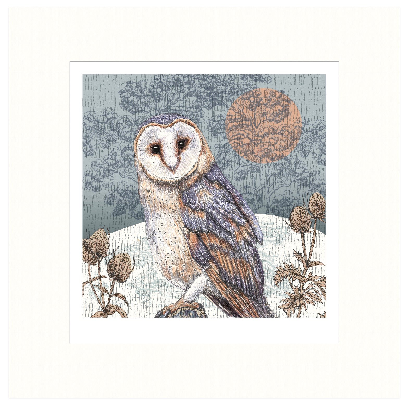 BARN OWL ART PRINT | Helen Briggs Design- Bird Artwork and Nature